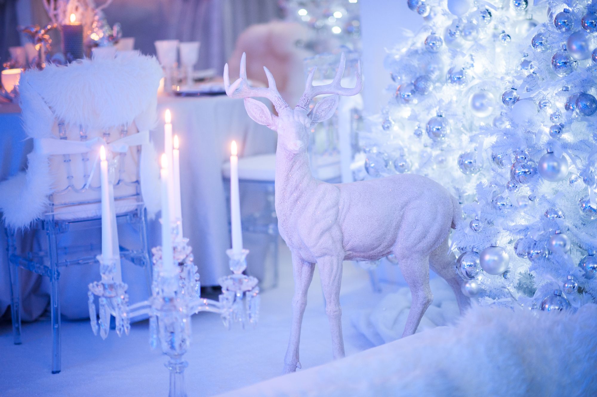 5 Quirky Theme Ideas For Your Winter Event Yahire Furniture Hire Blog